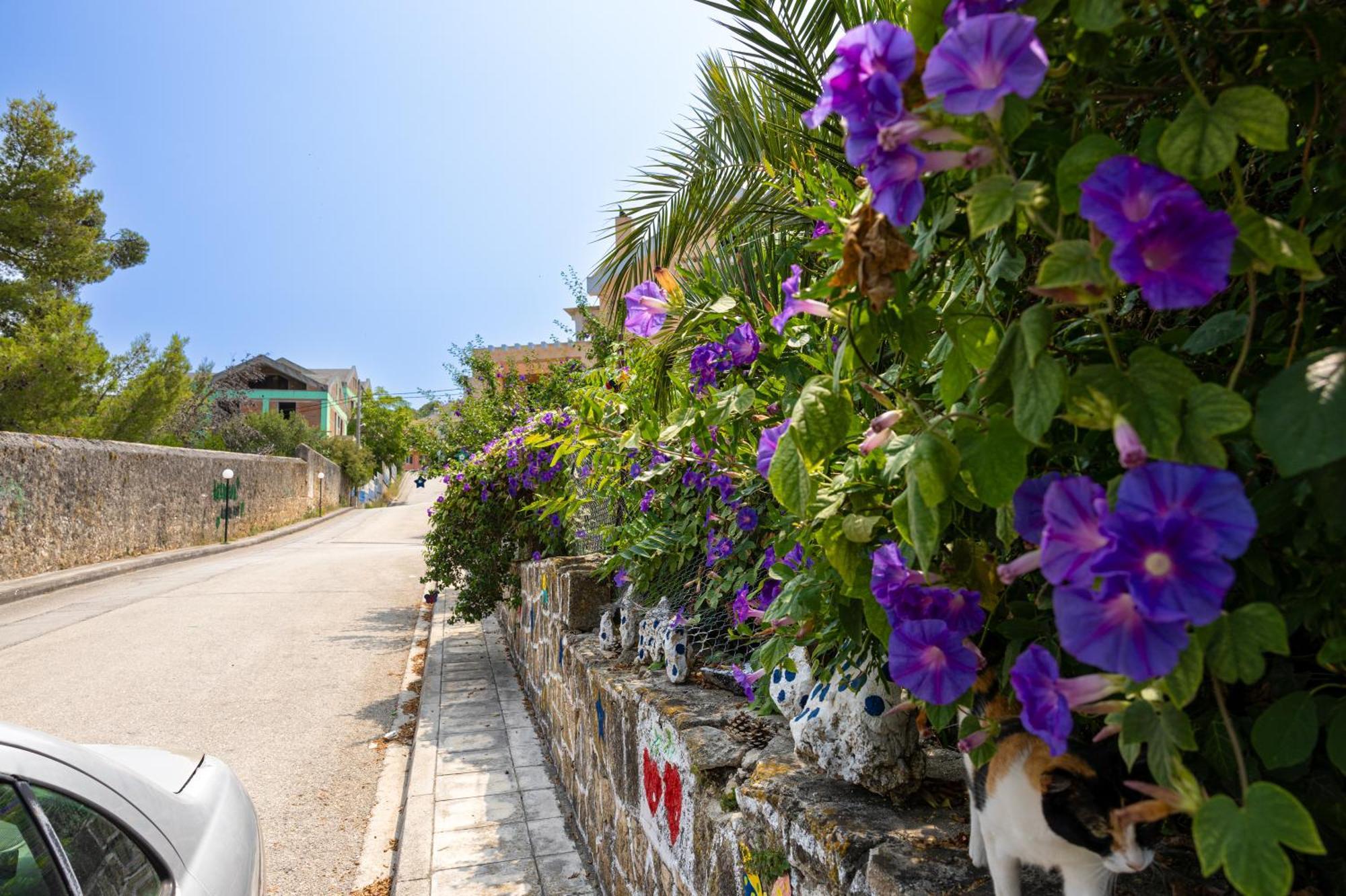 Domus City Apartment Argostoli  Zewnętrze zdjęcie